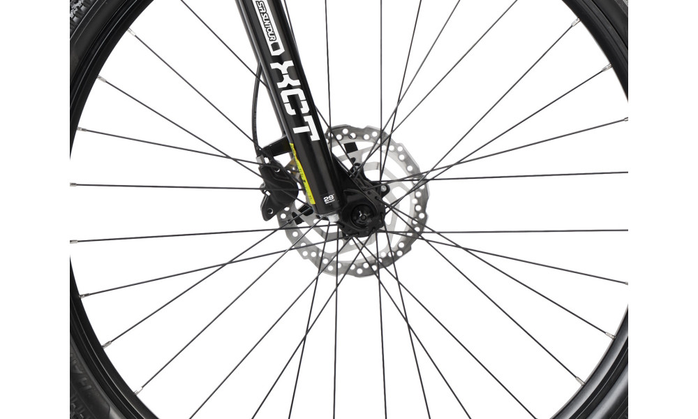 Dviratis Romet Monsun LTD Carbon 29" 2022 white - 5