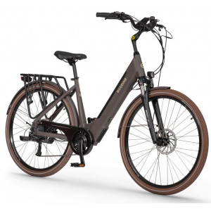 Elektrinis dviratis Ecobike X-City 28" 2023 coffee