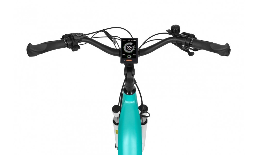 Elektrinis dviratis Ecobike D2 City 29" 48V 2023 menthol - 2