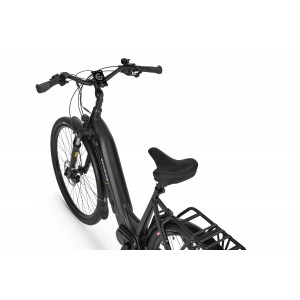 Elektrinis dviratis Ecobike D2 City 29" 48V 2023 black