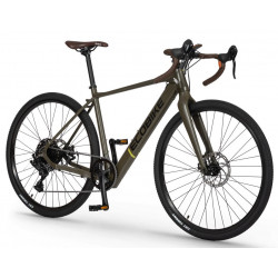 Elektrinis dviratis Ecobike Forest 36V 2023