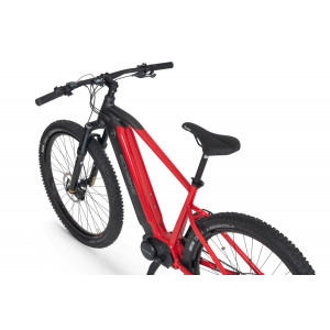 Elektrinis dviratis Ecobike RX 500 29" 48V 2023