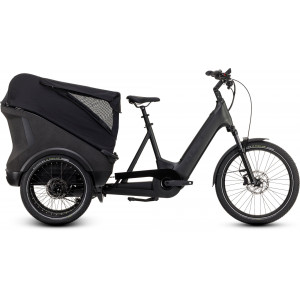 Elektrinis dviratis Cube Trike Cargo Hybrid 750 grey'n'reflex 2024